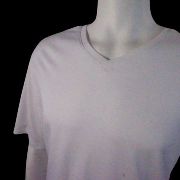 Robert Barakett Georgia V-Neck T-Shirt Size XXL WHITE - Picture 7 of 7